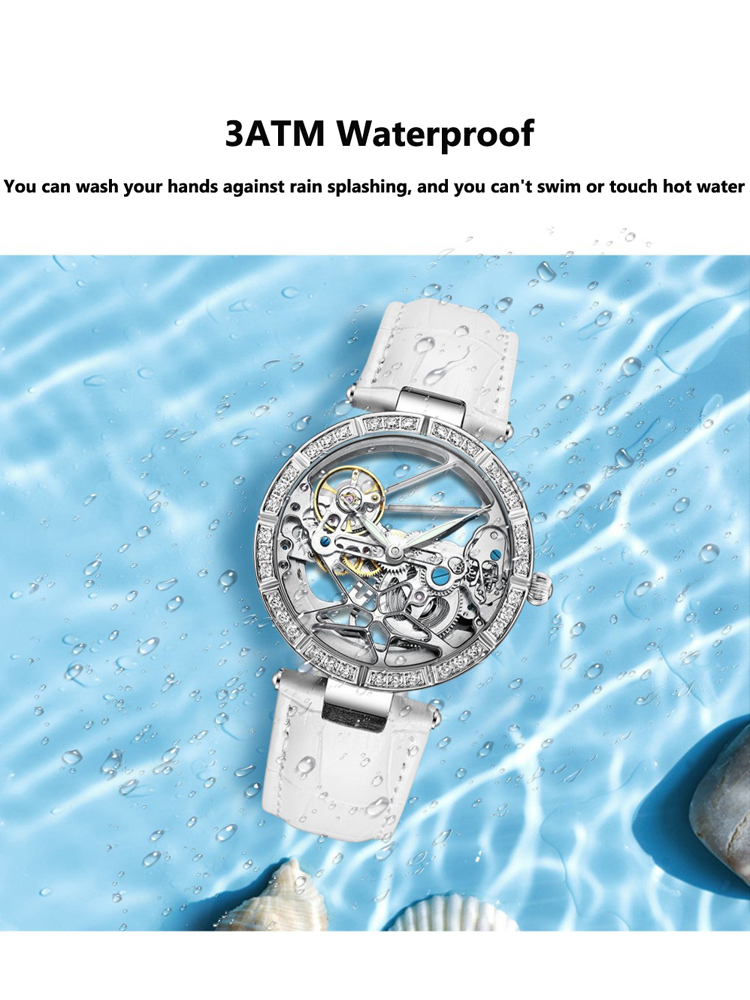 Luxury Skeleton Silver Dial Fa - Skeleton Mechanical Watch review and price